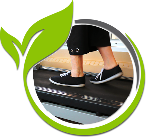 exercise program graphic icon